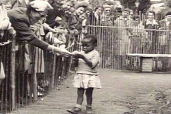 Medeni(!) Avrupa’nın merkezi Belçika’da hayvanat bahçesindeki Afrikalılar…