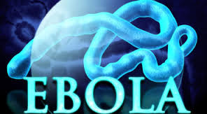 Ebola’dan ölenlerin sayısı 3 bine yaklaştı