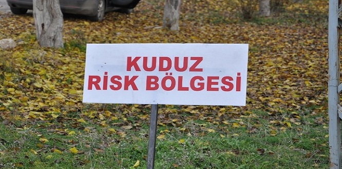 İskenderun kuduz için riskli bölge ilan edildi