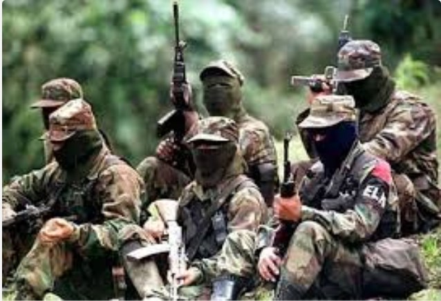 FARC, Venezuela’yı desteklediğini açıkladı