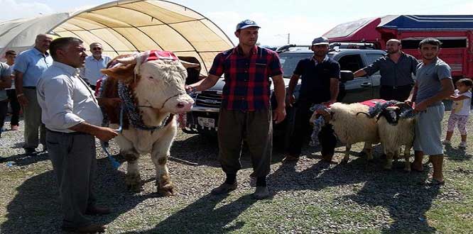 “Daha büyüğünü getirene bir cip ve 2 koç hediye edeceğim”