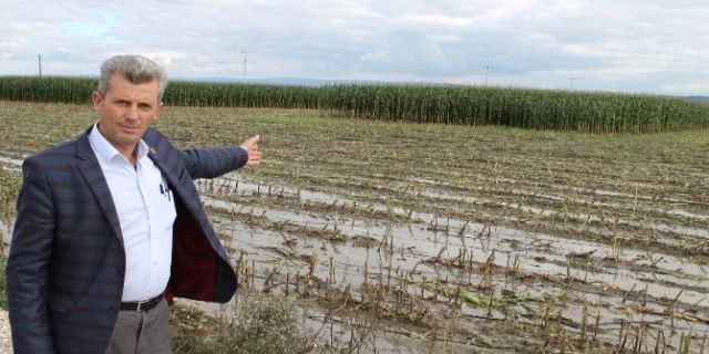 4 Bin 500 dönüm mahsul sular altında kaldı