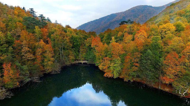 Yedigöller Milli Parkı – Bolu Türkiye