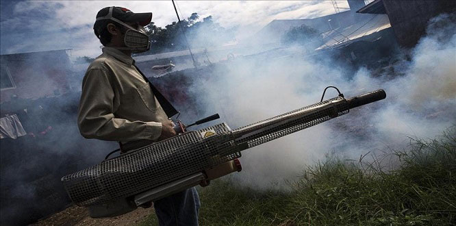 Zika virüsü Fransa’da da görüldü