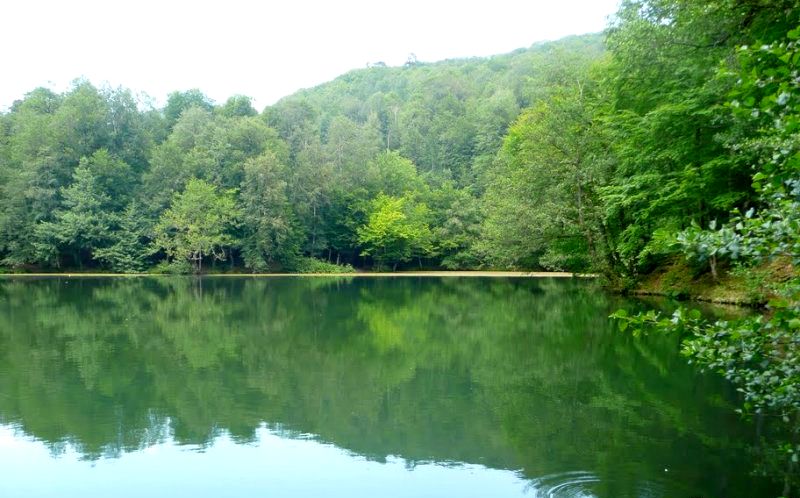 çubucak tabiat parkı.