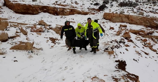 Sınırda facia! Donarak ölen göçmenlerin sayısı 15’e çıktı