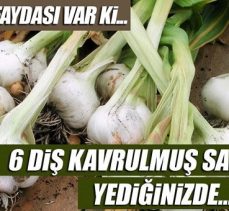 Kavrulmuş sarımsak mucizesi