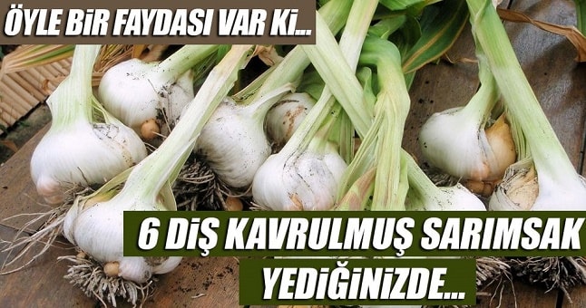 Kavrulmuş sarımsak mucizesi