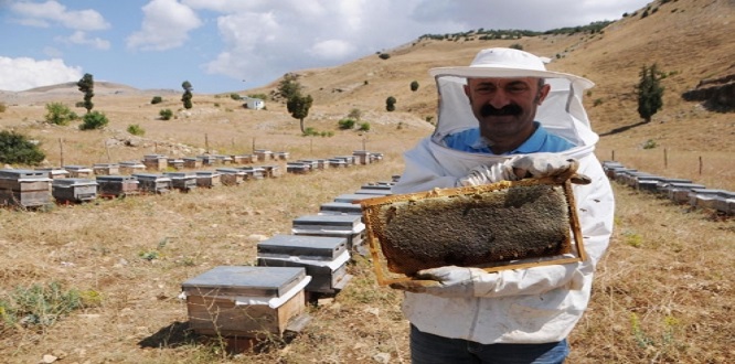 Komünist Başkan, Ovacık markasıyla süt ve süt ürünleri üretmeye hazırlanıyor..