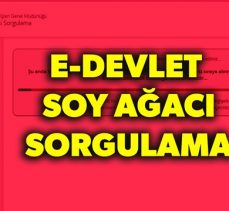 Soy ağacı uygulamasını 8 milyondan fazla kişi kullandı