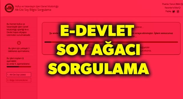 Soy ağacı uygulamasını 8 milyondan fazla kişi kullandı