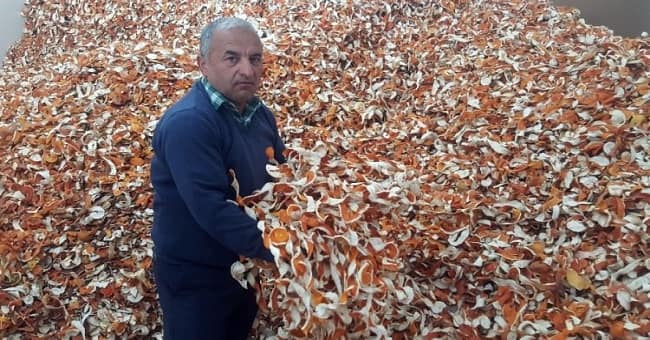 Kilosu 50 kuruşa inince, üreticisinin yeni umudu kabuğu oldu: Kilosu 4 lira