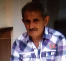 Salyangoz toplamaya giden yaşlı adam ormanda ölü bulundu