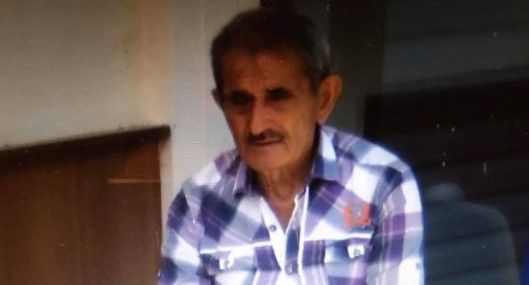 Salyangoz toplamaya giden yaşlı adam ormanda ölü bulundu