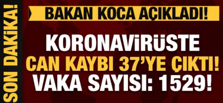 Bakan Koca son durumu açıkladı: Koronavirüste 7 can kaybı