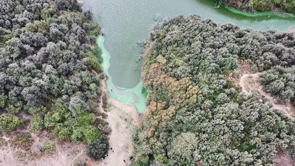 Eyüpsultan’da göle kimyasal atık boşalttılar