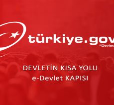 E-Devlet’ten kontrol edin! Adınıza açılmış şirket veya hat olabilir