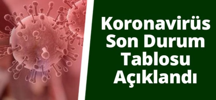 Türkiye’de son 24 saatte koronavirüsten 78 kişi hayatını kaybetti, 8 bin 104 vaka tespit edildi