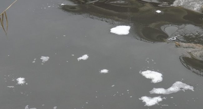 Büyük Menderes Nehri’nde suyun rengi değişti