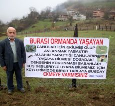 Kastamonu’da yıllardır atıl kalan tarlalar yaban hayvanları için ekildi