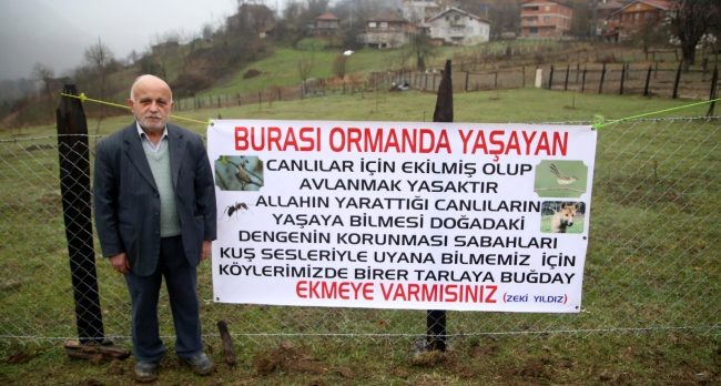 Kastamonu’da yıllardır atıl kalan tarlalar yaban hayvanları için ekildi