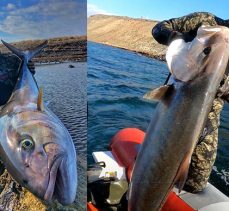 Rekortmen dalgıç, 1,5 metre boyunda ve 27 kilo ağırlığında akya avladı