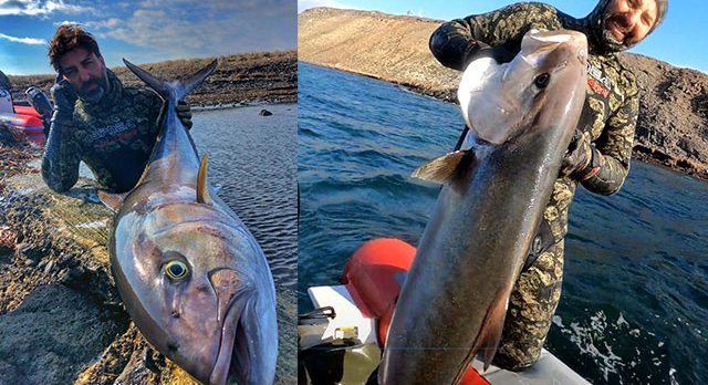 Rekortmen dalgıç, 1,5 metre boyunda ve 27 kilo ağırlığında akya avladı