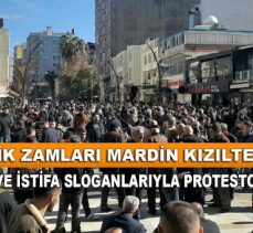 Kızıltepe’de binlerce kişi zamları protesto etmek için sokağa çıktı